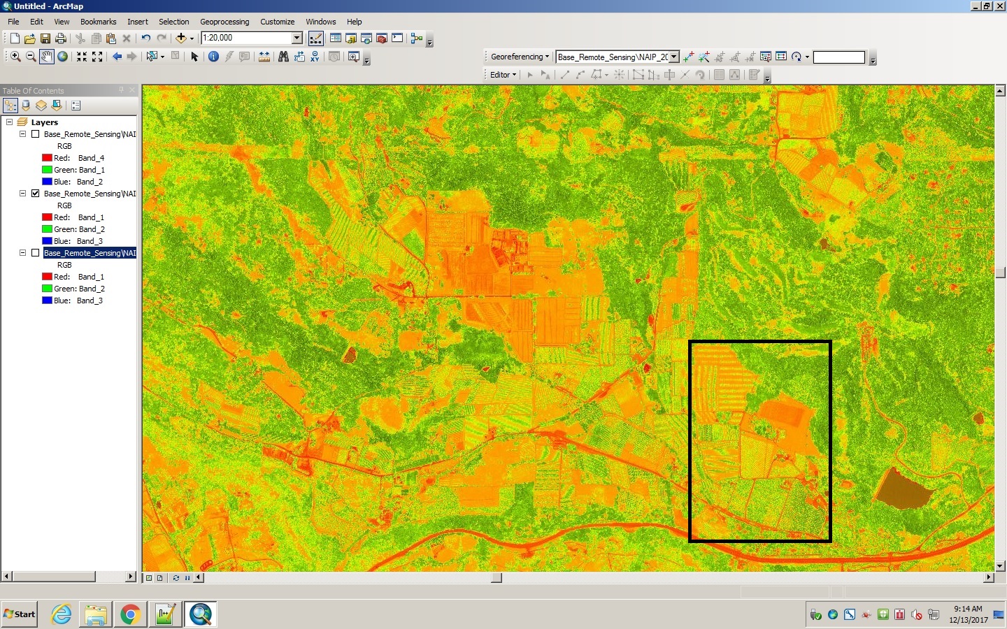 Apple Hill in NDVI
